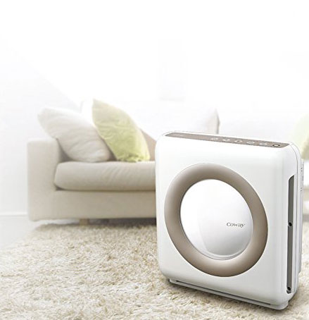 The Coway Mighty Air Purifier is a cool device for any house