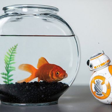 Get Your Message Across The Floor With The Sphero Star Wars BB8 Toy